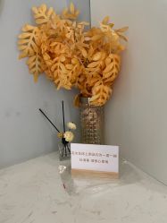 -Lily纤美·科技减脂中心
