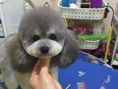 -爱宠屋pet shop·宠物洗澡·宠物美容