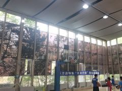 -东方启明星篮球培训(泛海校区)