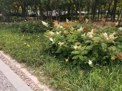 -东疆建设开发纪念公园