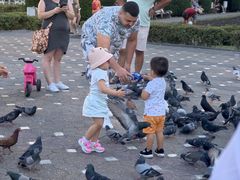 -蒂米什瓦拉胜利广场