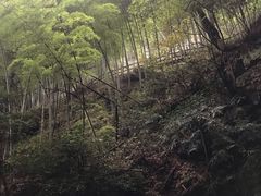 -藏龙百瀑风景区