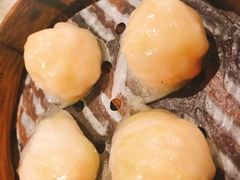 -又一间茶点轩(百汇广场店)