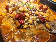 烤盘清江鱼香辣-小小河边鱼(天润城店)