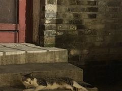 -富桂厨房