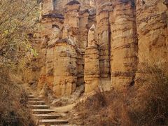 -元谋土林景区(物茂土林)