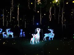 -杭州宋城