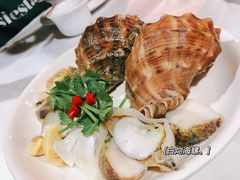 海螺-阿尔法海鲜排档(爱琴海店)