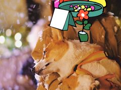 -Lets burger非常汉堡·环球风味(蓝色港湾店)