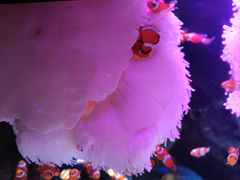 -沈阳海洋探索中心