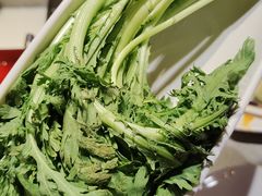 -海底捞火锅(金光华店)