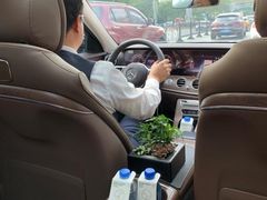 -上海柏悦酒店