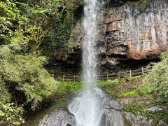 -龙苍沟森林公园