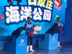 -石家庄海洋公园