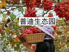 -普迪生态园