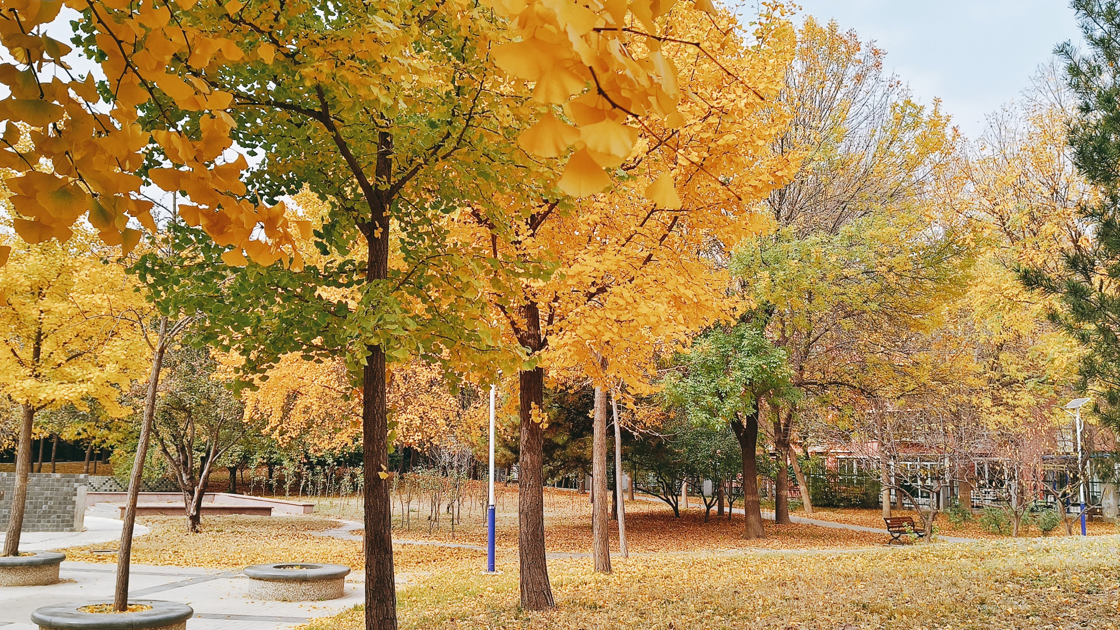 回龙观少为人知的宝藏公园