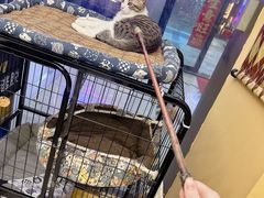 -谜盒子奇幻密室(南屏店)