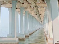 -宝安西湾红树林湿地公园