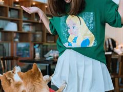 -柴源莊·柴小宠柴犬咖啡