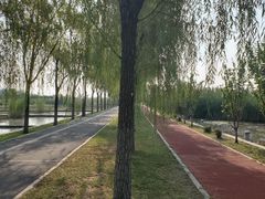 -永定河休闲森林公园