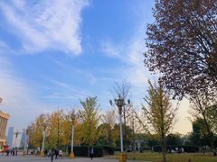 -武汉两江游览·夜游长江(汉口粤汉码头)