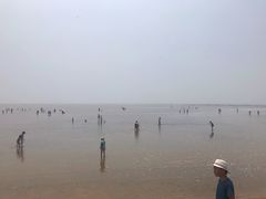 -刘家湾赶海园
