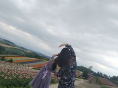 -富田农场
