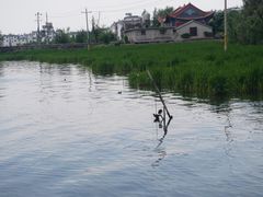 -才村湿地公园
