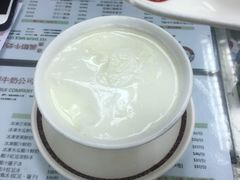 双皮奶-义顺牛奶公司
