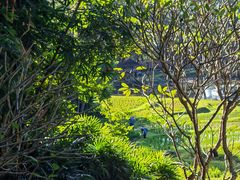 -四季酒店下午茶