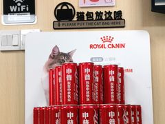 -申普宠物医院·心脏介入·心血管微创(总院)