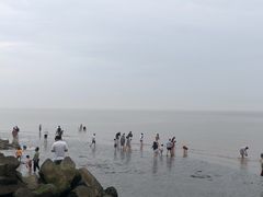 -南汇嘴观海公园