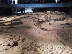 -自贡恐龙博物馆