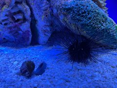 -上海海洋水族馆