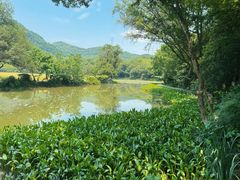 -八卦田遗址公园