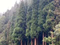 -龙苍沟森林公园