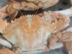 -九层海鲜塔(市南店)