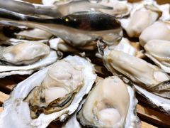 北海道生蚝原味蒸-新海渔港·胶东海鲜家常菜·家宴(奥体中心店)