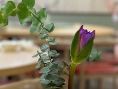 -佛有缘素食馆·荔湾老字号(陈家祠首店)