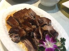 -鹅城