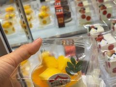 -喜莲娜动物奶油生日蛋糕(白云店)
