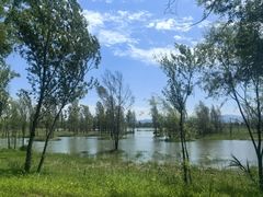 -野鸭湖国家湿地公园