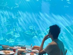 -海棠湾洲际-涛·海底餐厅·美人鱼·自助餐·海底隧道