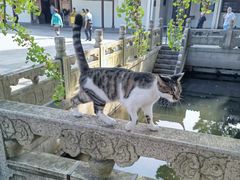 -西园寺素食(西园弄戒幢律寺店)