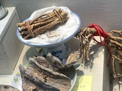 -广东中医药博物馆