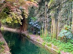 -望江楼公园