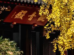 -北寺塔