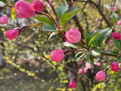 -艾溪湖湿地公园