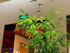 -晟永興烤鸭店(五道口店)