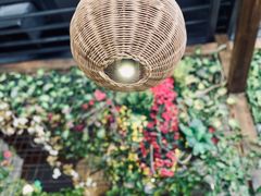 -芭缇沁园椰子鸡(中航紫金新天地店)